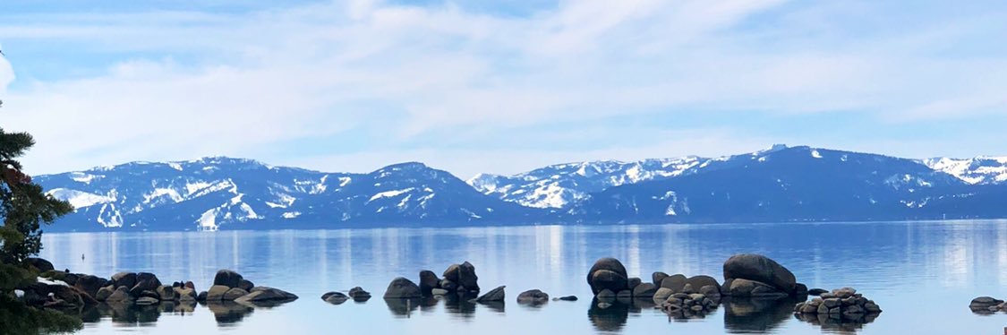 Sara Cholhagian Ralston banner