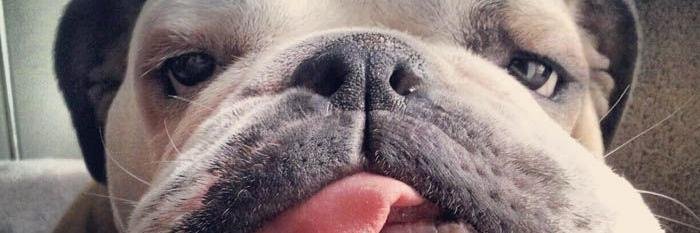 likelindsey's profile banner image