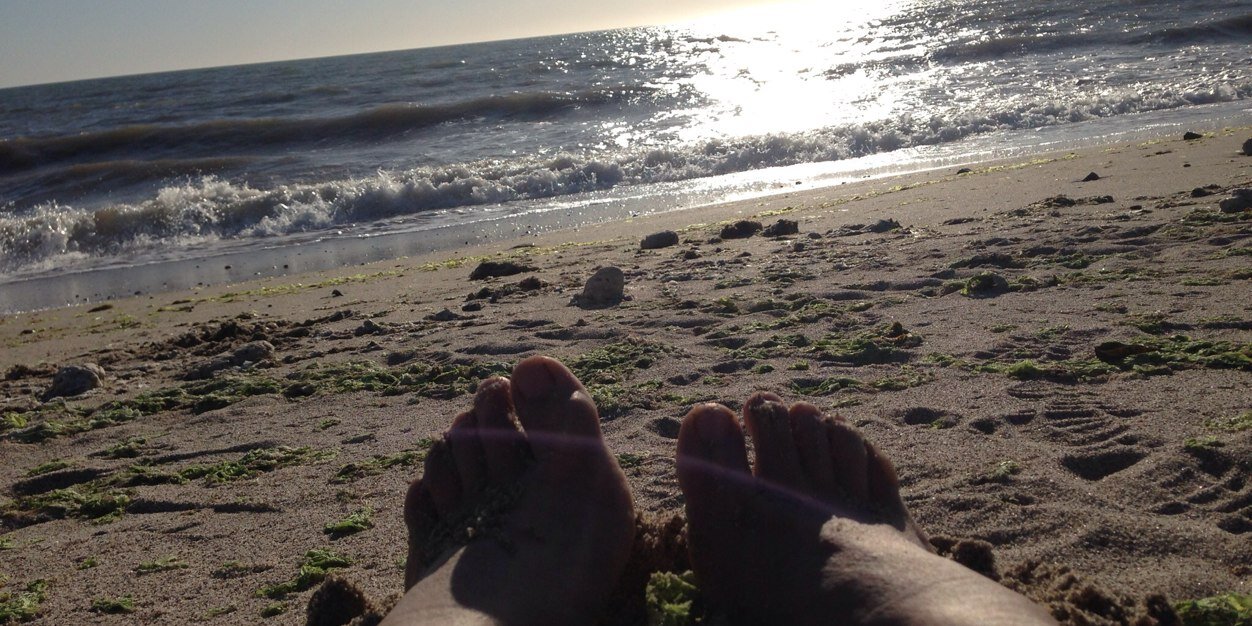 Denisse Parra banner