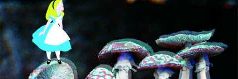 Chevy_booth's profile banner image