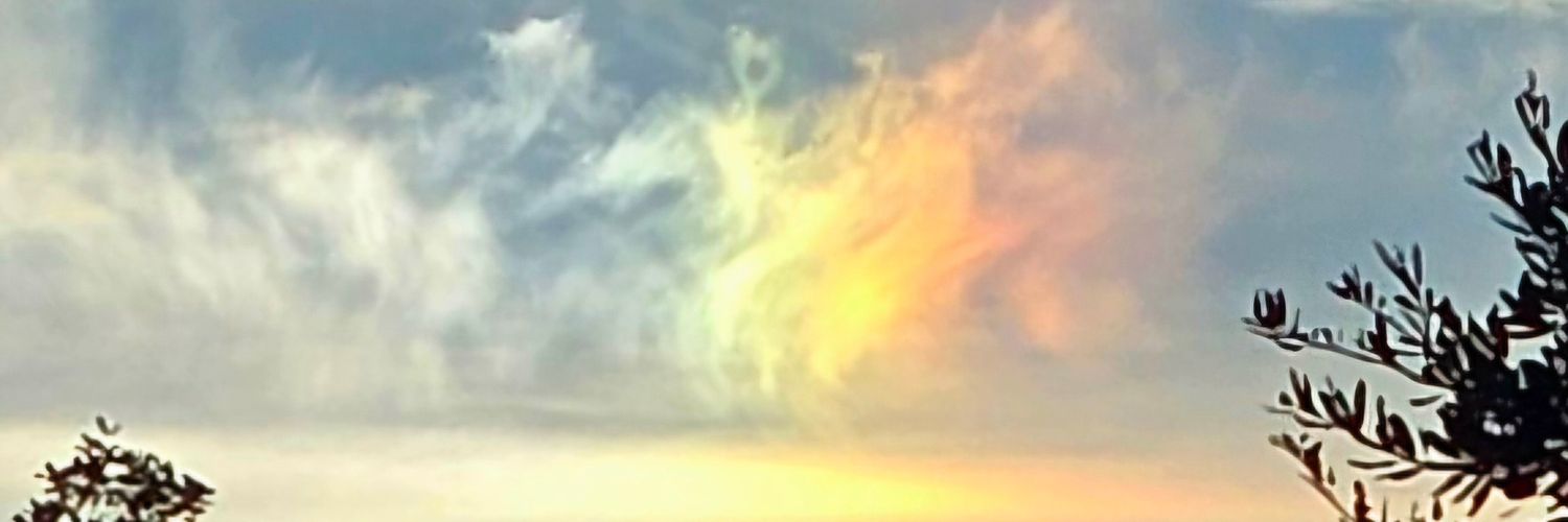 paloma27's profile banner image
