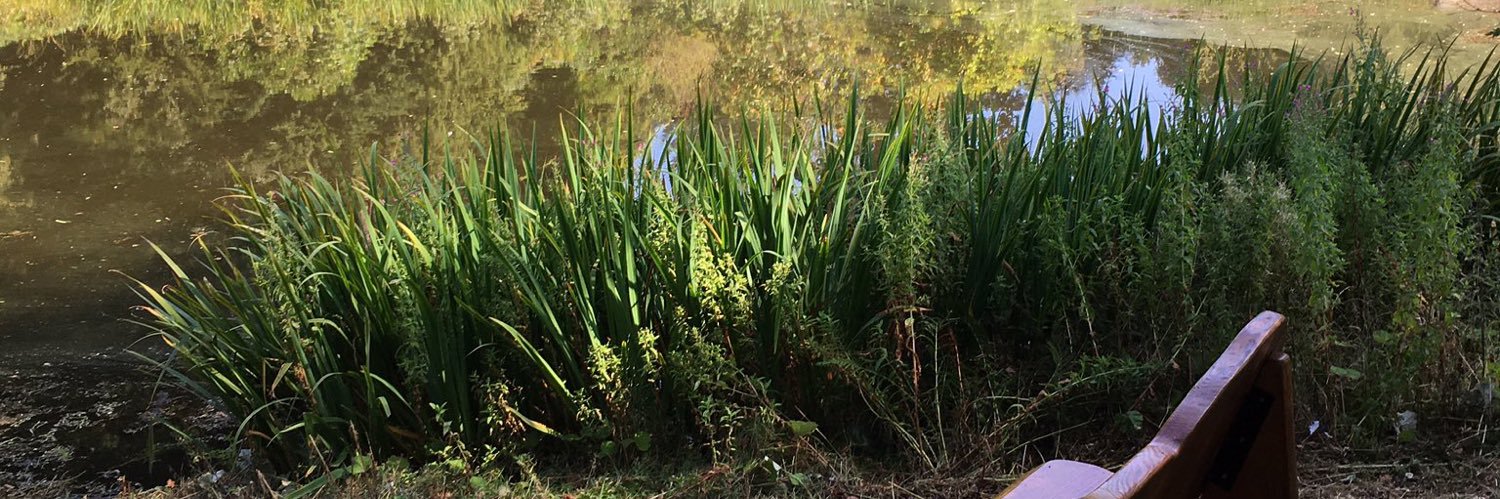 Ann Rae 🏌️‍♀️ banner