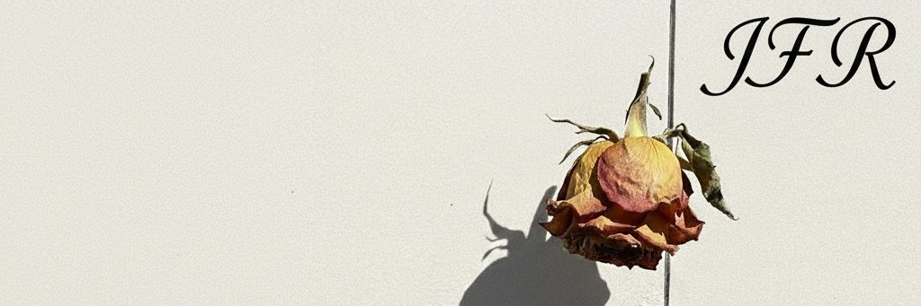 officiallyjfr's profile banner image