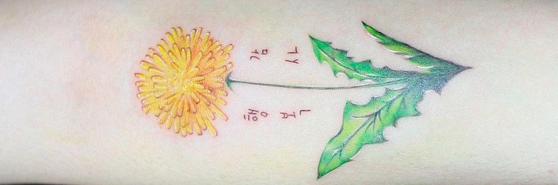 월하 𝙬𝙤𝙡𝙝𝙖 banner