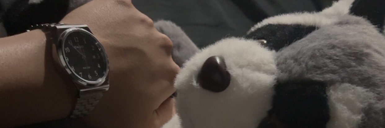 romicamposs_'s profile banner image