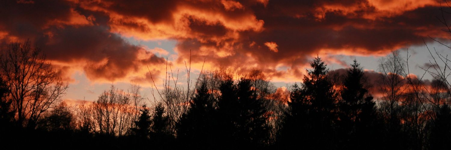 Oskar Wickström banner