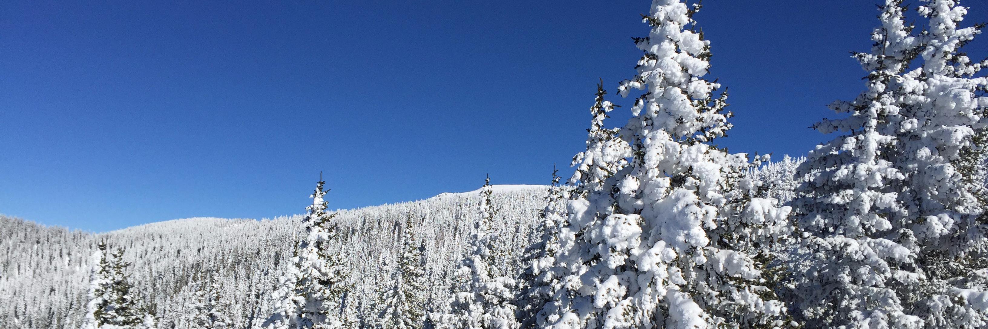 sethgleiman's profile banner image