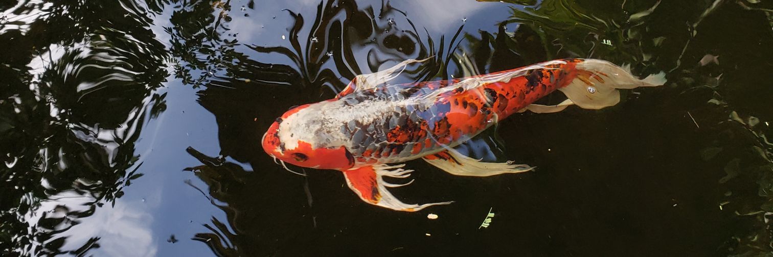 nepantlera banner