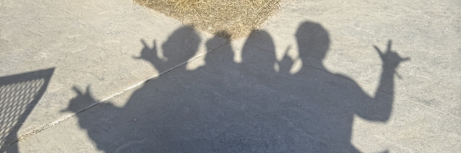 Hippocratic Samurai banner