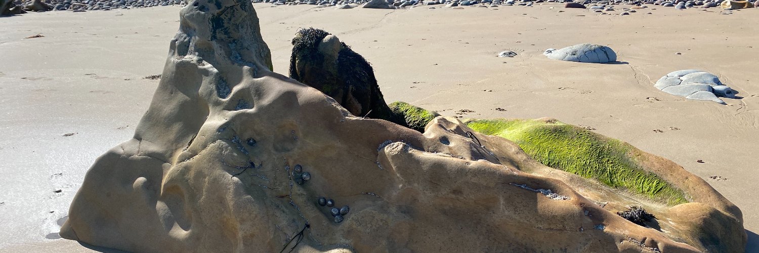 Grace Maxwell banner