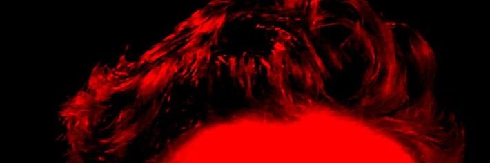 virulithoo's profile banner image