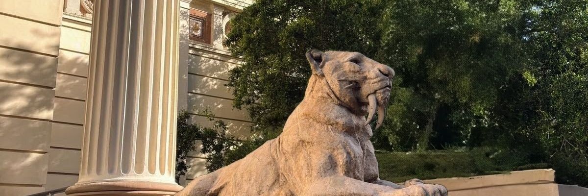 andercamiz's profile banner image