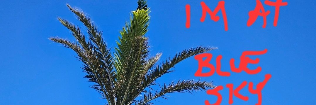 Wiezguy@bksy.social banner