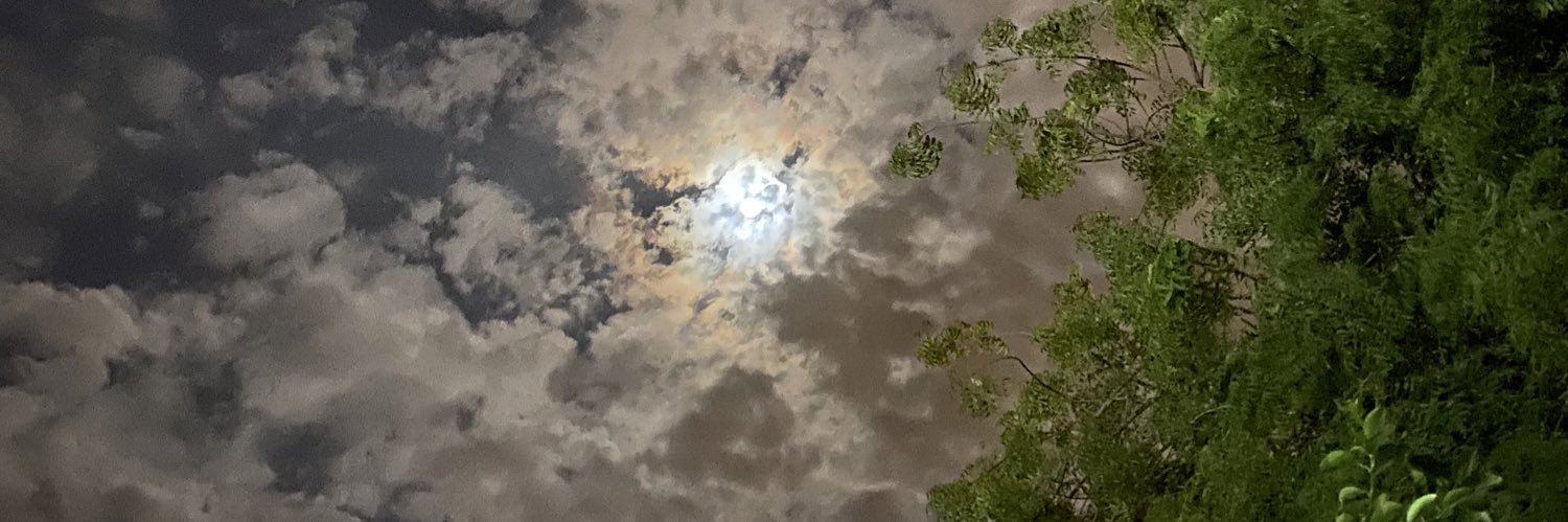 rehamKd's profile banner image