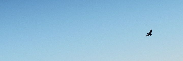 kaljohn65's profile banner image