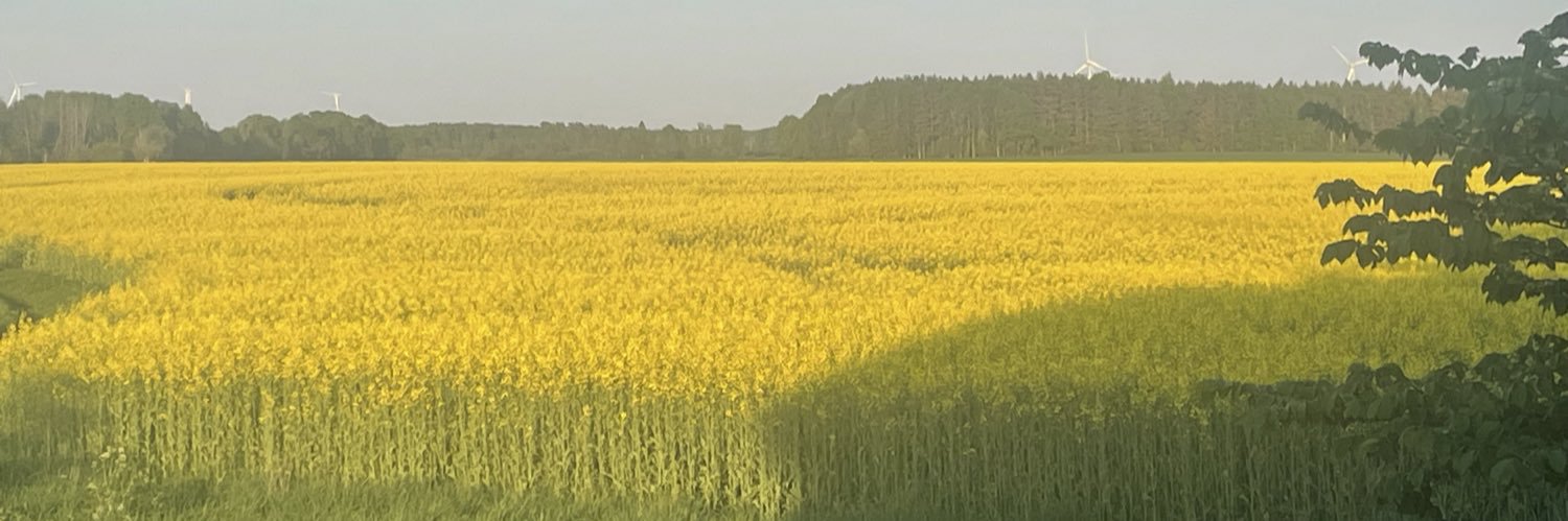 micjac63's profile banner image