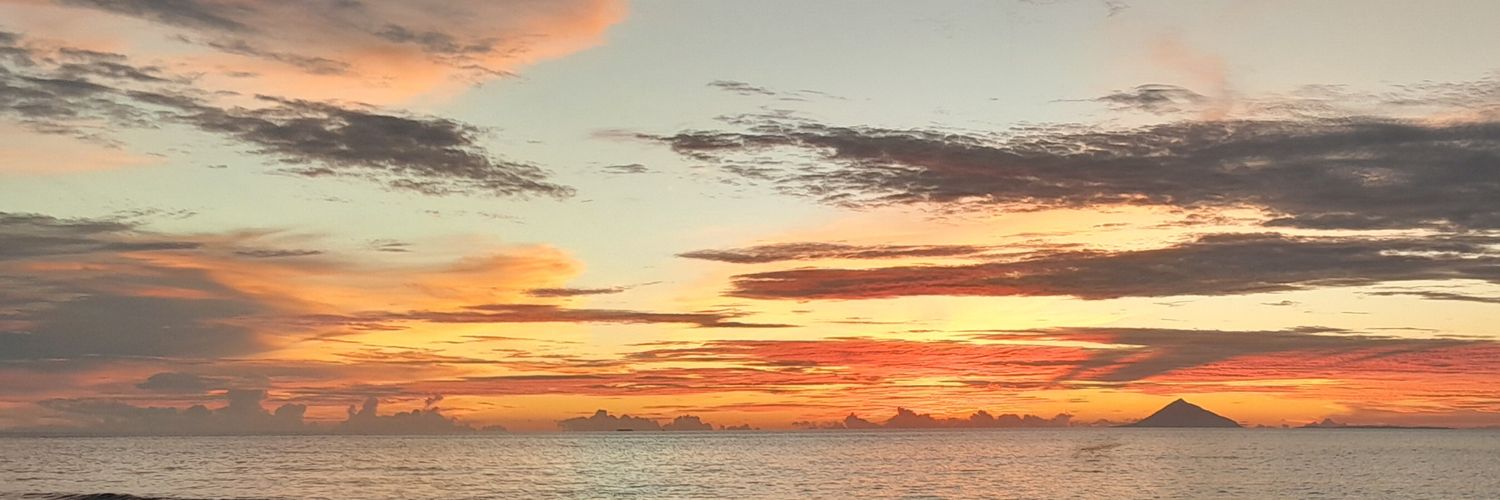 ari_mute's profile banner image