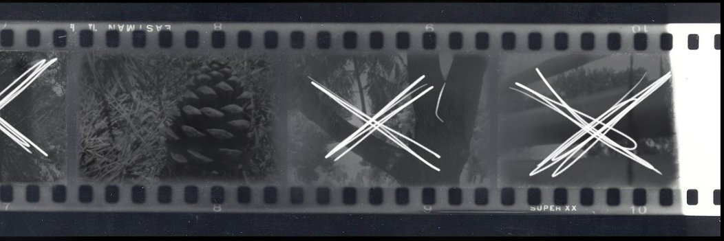 missing_files's profile banner image