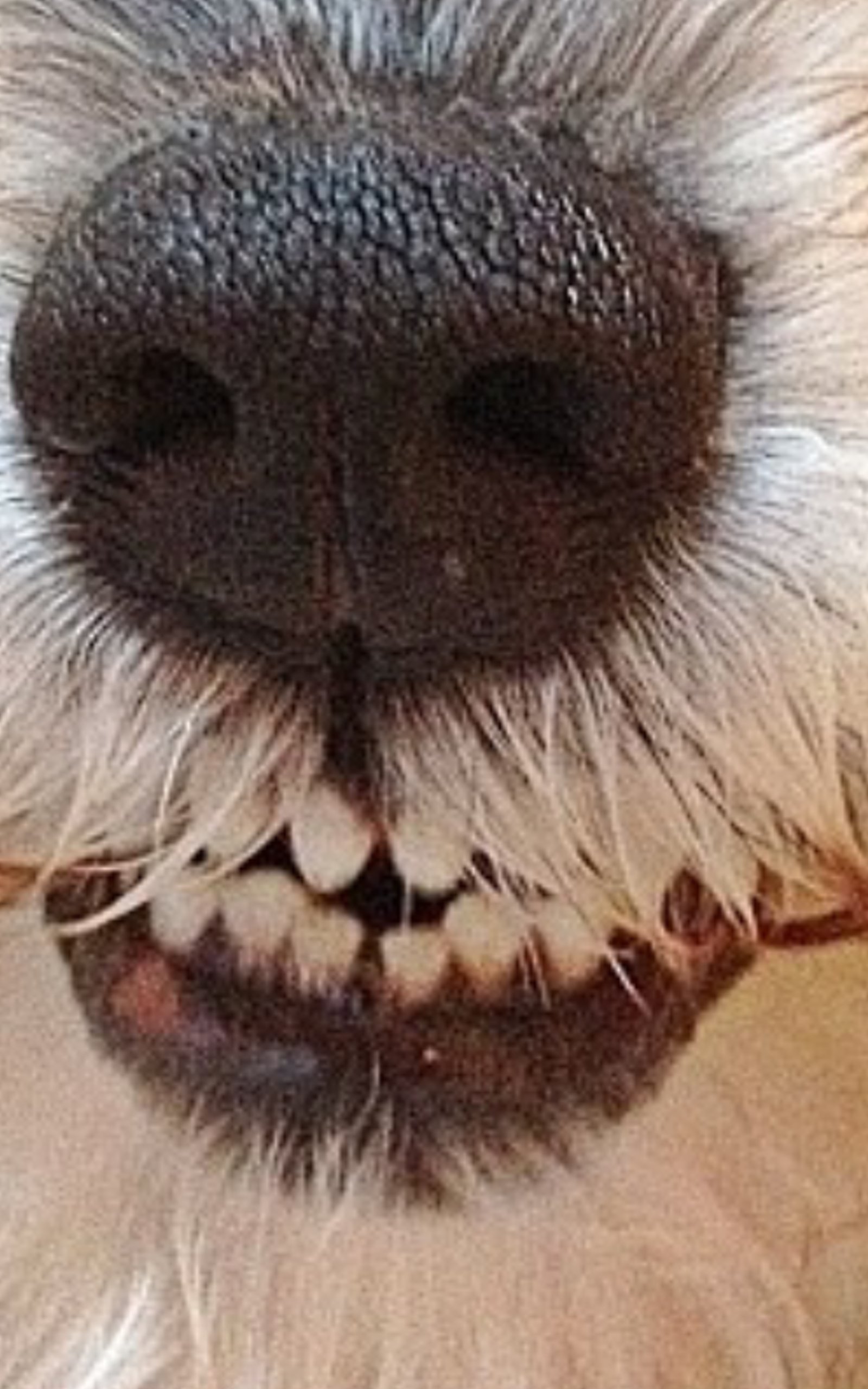 TnJBabbles's profile banner image
