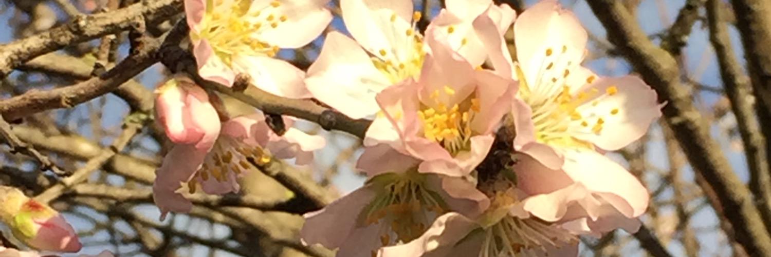 rbarrones's profile banner image