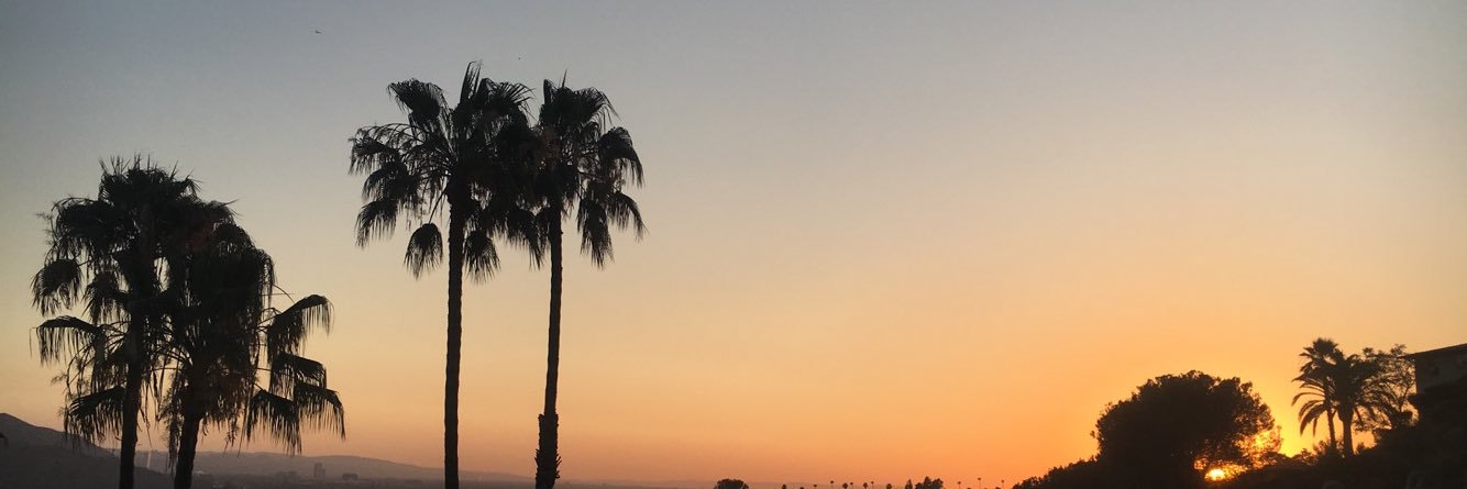 Richiewebb's profile banner image