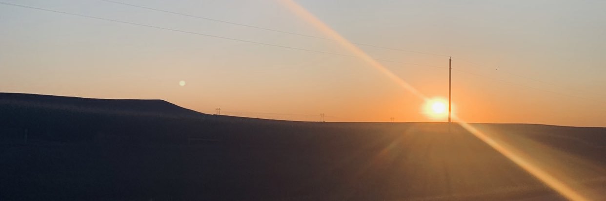 KateRoesler's profile banner image