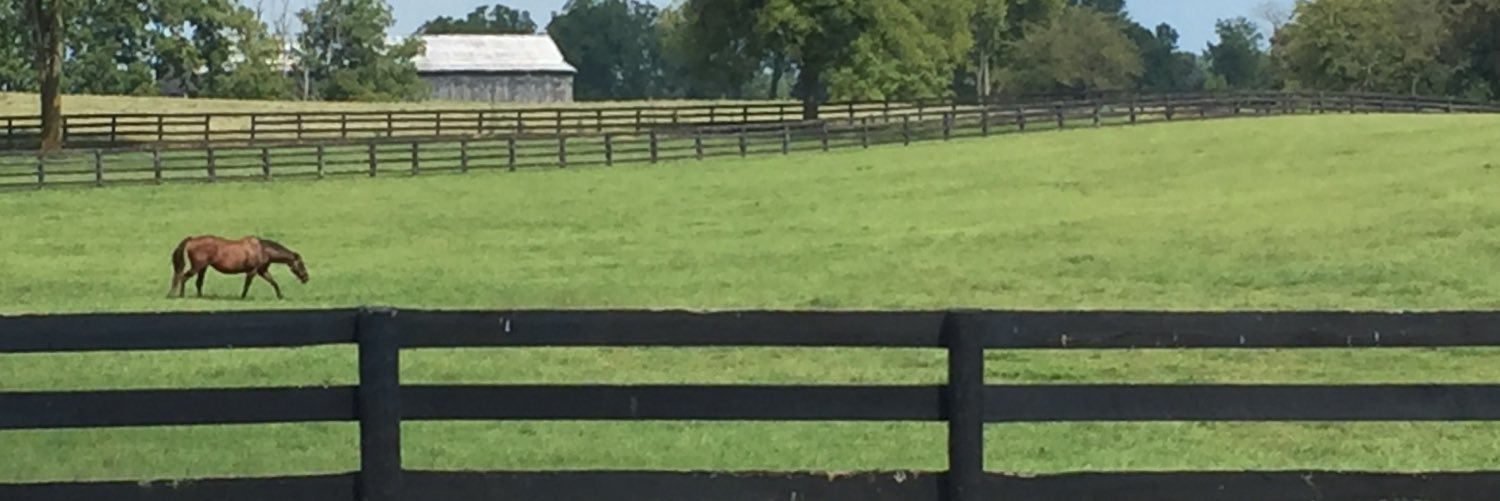 KinPTK's profile banner image