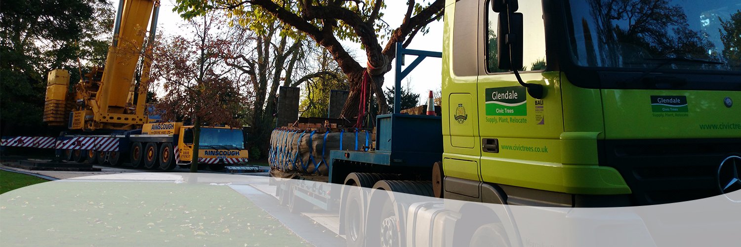 civictrees's profile banner image