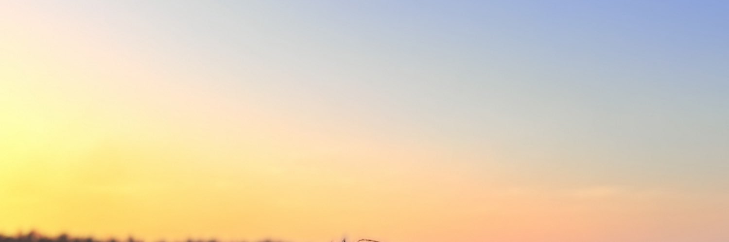 dmlej29's profile banner image
