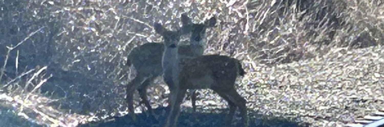 JarredThayer's profile banner image