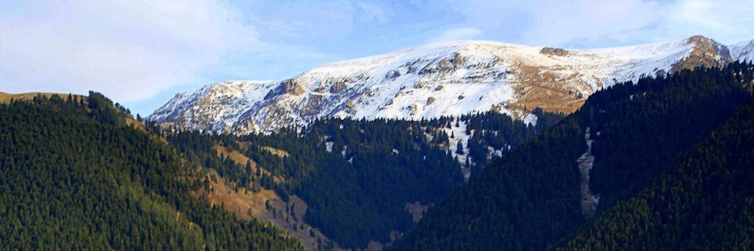 Caner1486's profile banner image