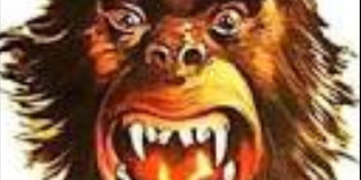 conairdj's profile banner image