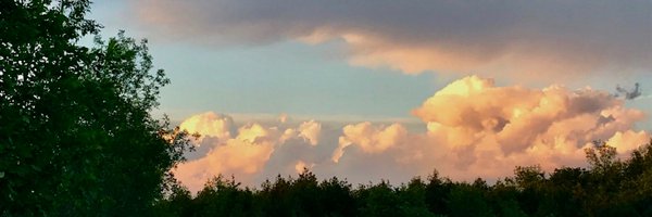 stephaniearay19 Profile Banner