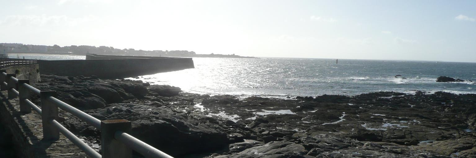 StephanieCaclin's profile banner image