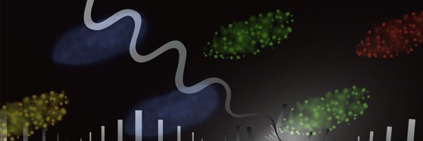 davidkcortez Profile Banner