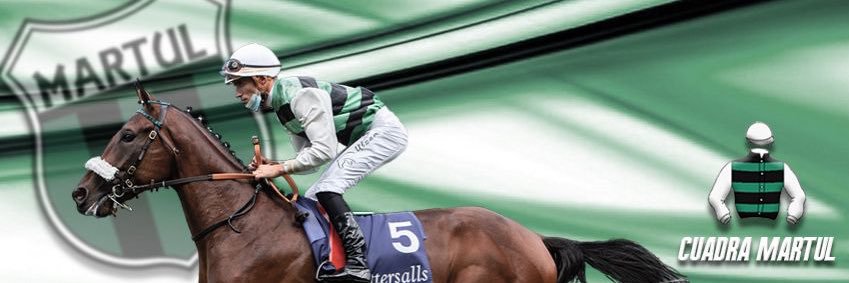 Ferdemente 🏇💚⚽️ banner
