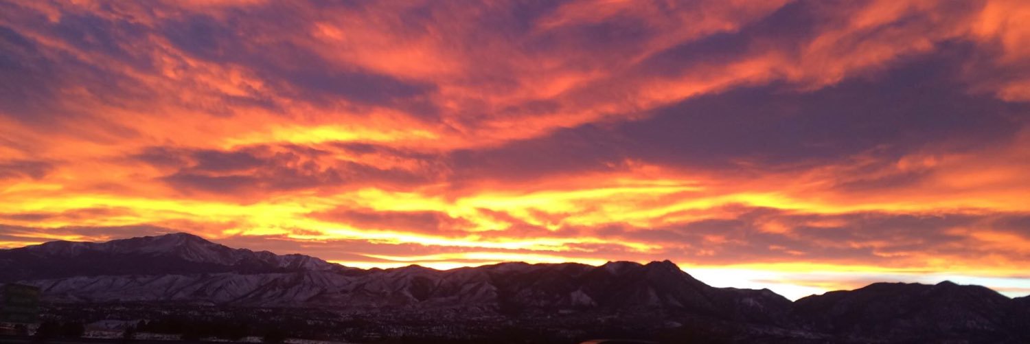 Martha Shehan banner