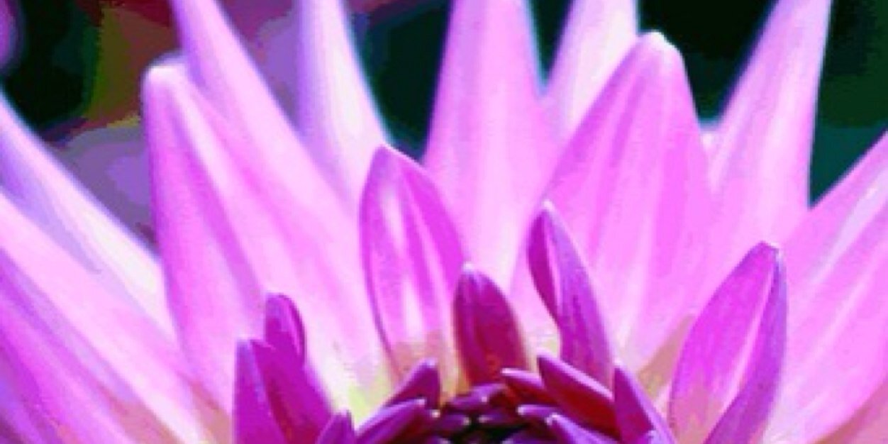 tripleml's profile banner image