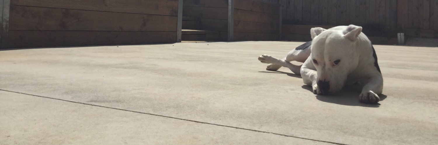 Joshwahh2's profile banner image
