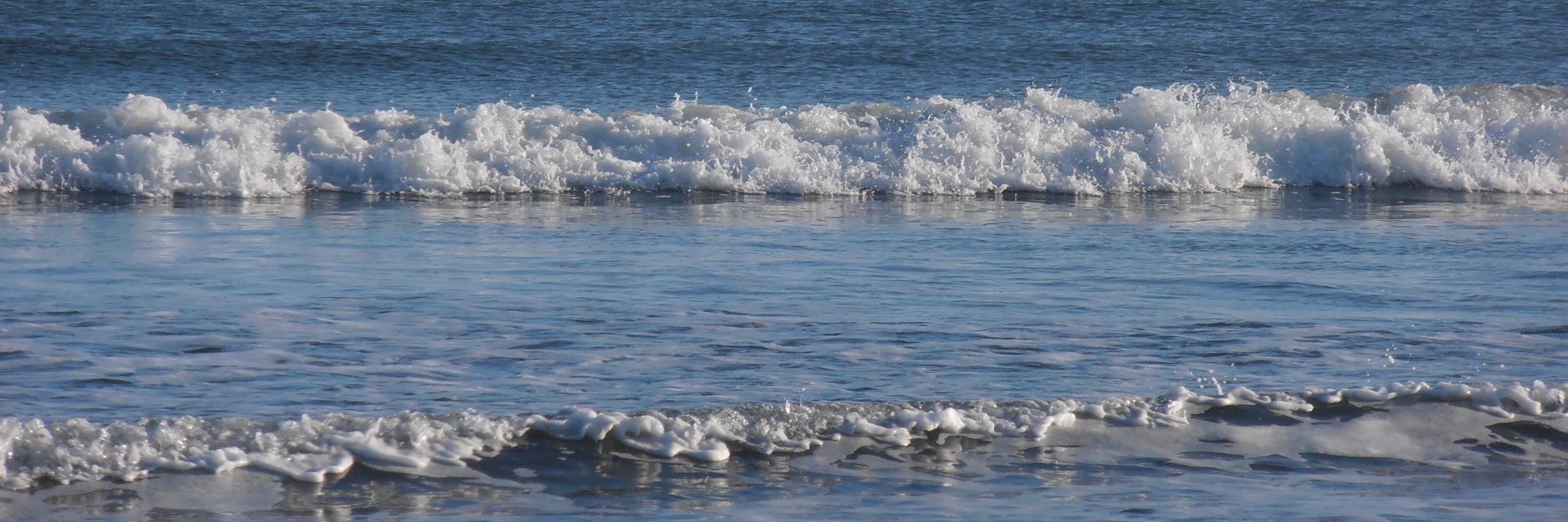 MermaidFiley's profile banner image