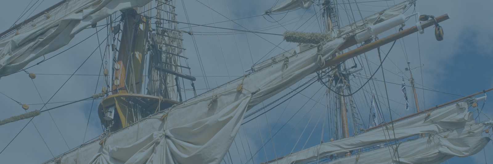 PalmerAndCay's profile banner image