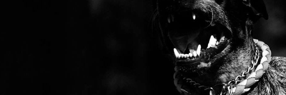 yalcinzenger's profile banner image