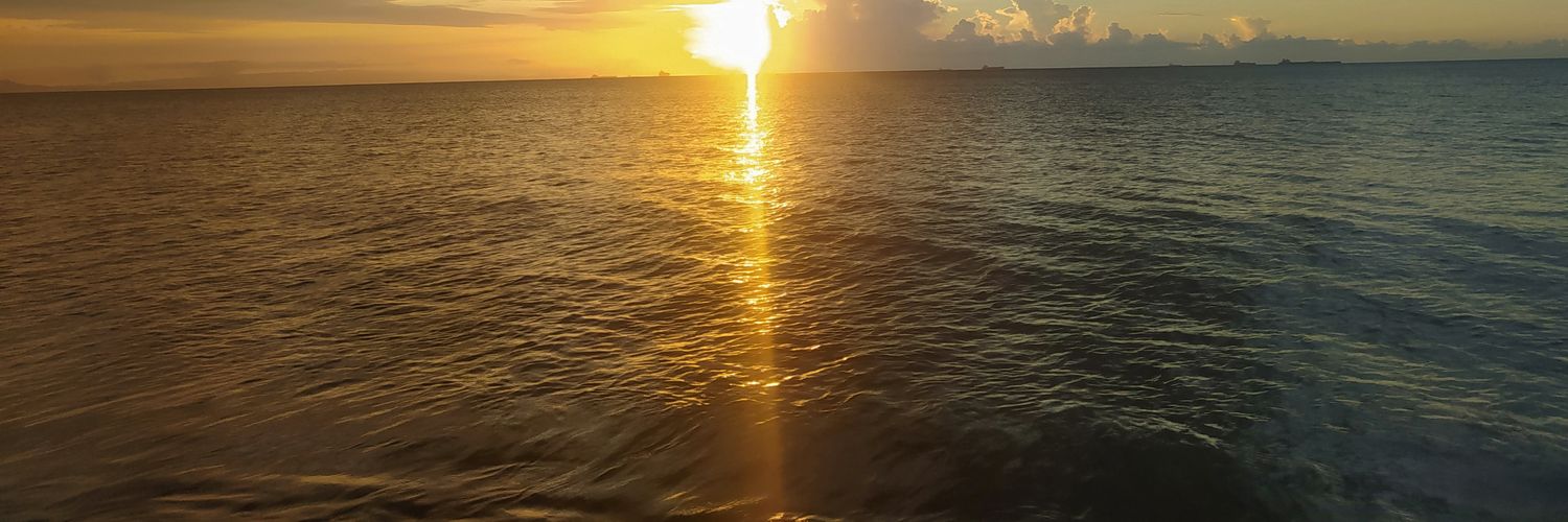 Nanilarez's profile banner image