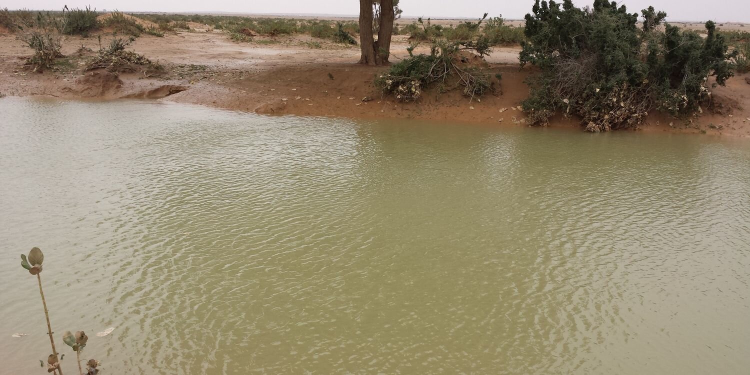 OlyanoO's profile banner image