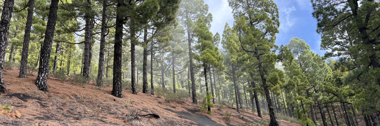 Brecht Laitem banner