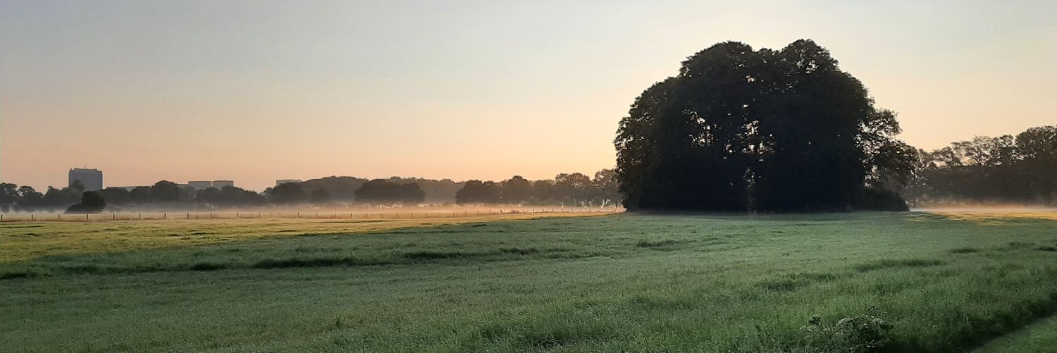 bushmattie's profile banner image