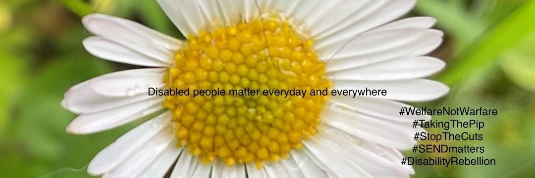 Keri Howe #LabourPartyStrike 💪🏻🕊🌹🌍❤️ banner