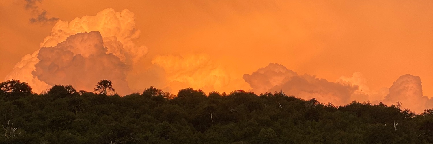 Misiá Eloísa 🌧️🌨️🌷🌱 banner