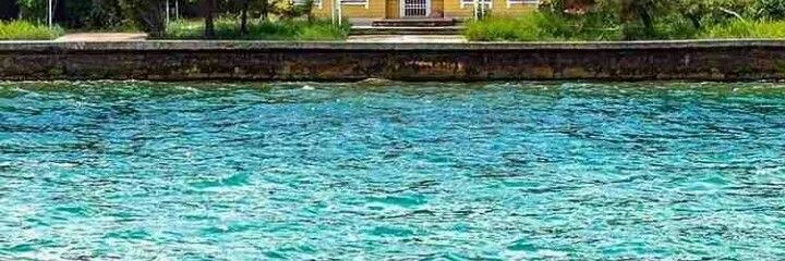Dina__M's profile banner image