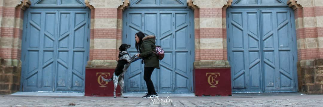 Raquel_CCF's profile banner image